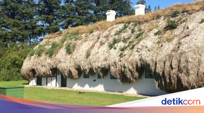 Aneh, Rumah Ini Pakai Tumpukan Rumput Laut untuk Jadi Atap