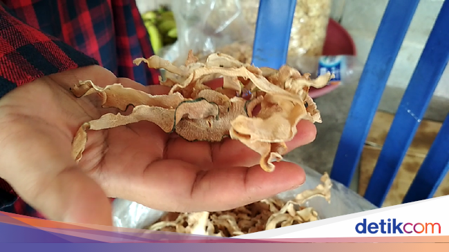 Kriuk Renyah Keripik Usus Pepaya yang Gurih Enak Kriuk Renyah Keripik Usus Pepaya yang Gurih Enak
