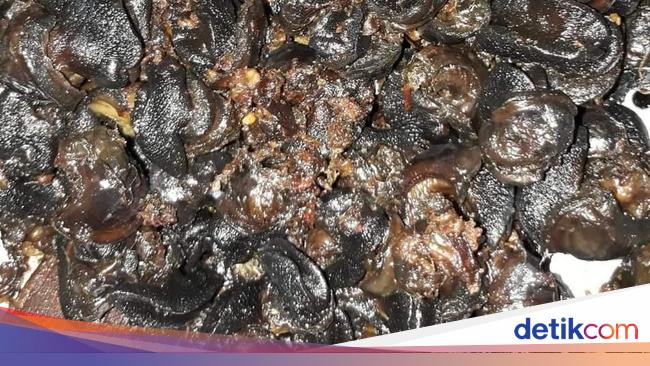 Pedas Menyengat Rica-rica Bekicot Khas Gunungkidul