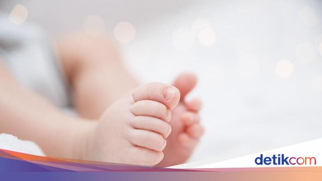 Ketentuan Baru Bayi Baru Lahir Wajib Didaftarkan Bpjs Kesehatan Ketentuan Baru Bayi Baru Lahir Wajib Didaftarkan Bpjs Kesehatan