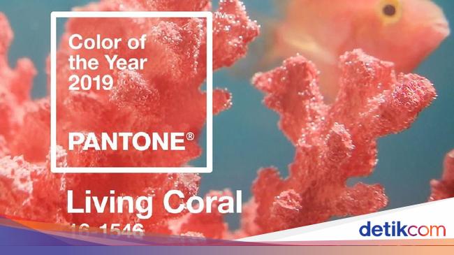 Ini Tren Warna 2019 dari Pantone Living Coral 