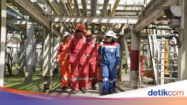 Jadi Tulang Punggung Produksi Nasional, Segini Cadangan Gas PHE