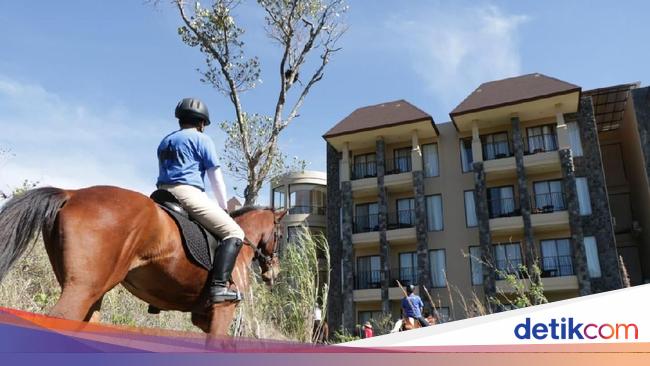 Catat Guys, Ini Rekomendasi Hotel Keren di Pasuruan