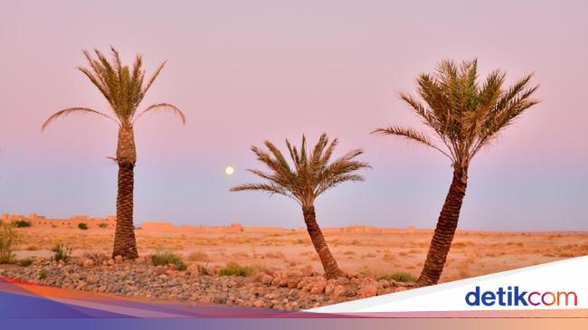 Nama Gurun yang Terdapat di Benua Afrika Lengkap Nama Gurun yang Terdapat di Benua Afrika Lengkap