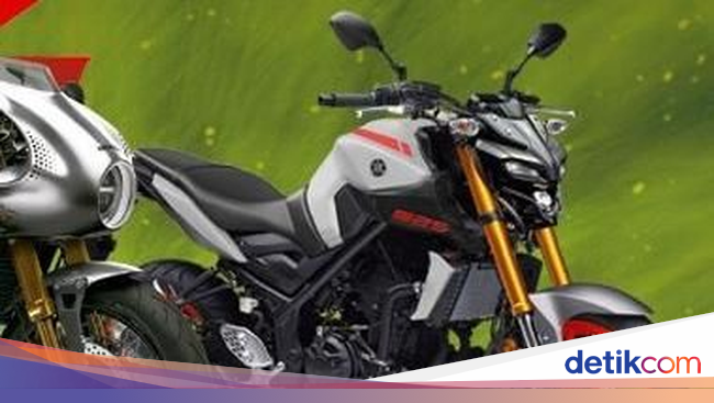 Bocor Dipercaya Ini Tampang Yamaha MT-25 Terbaru