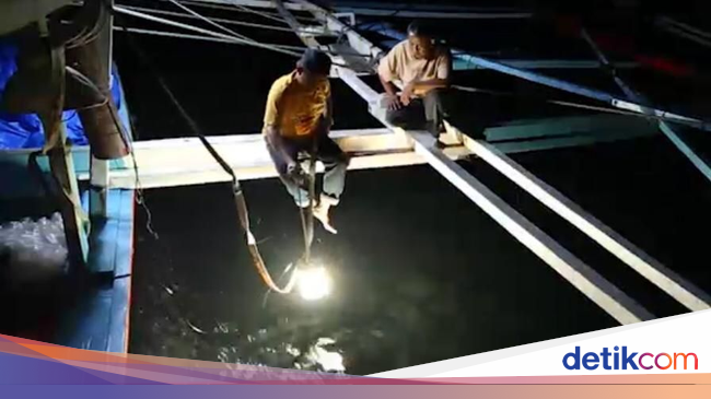Pakai Lampu Ikan Buatan KKP, Nelayan Dapat Tangkapan 4 Kali Lipat - detikFinance Pakai Lampu Ikan Buatan KKP, Nelayan Dapat Tangkapan 4 Kali Lipat - detikFinance