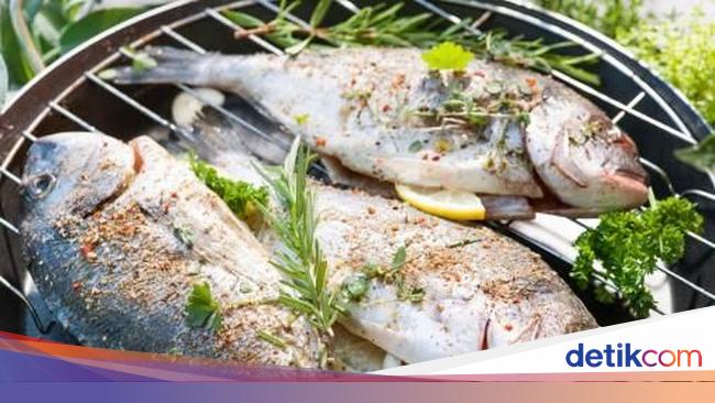 7 Jenis Ikan Laut Ini Paling Enak Dibakar Dengan Api Arang
