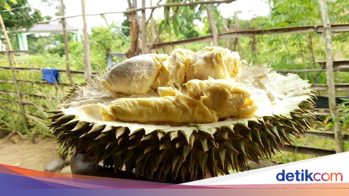 Noginskda mashinada jinsiy aloqa