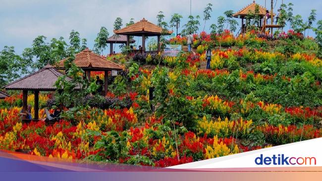 Foto Tempat Wisata Murah Meriah Tapi Cantik Di Batang Foto Tempat Wisata Murah Meriah Tapi Cantik Di Batang