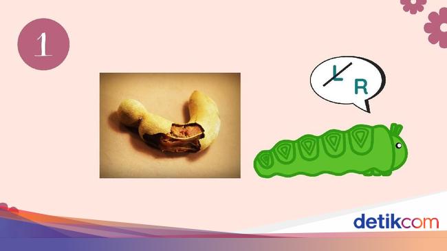 Tebak Kata Dari Gambar Gambar Berikut Ini Bisa Memecahkannya