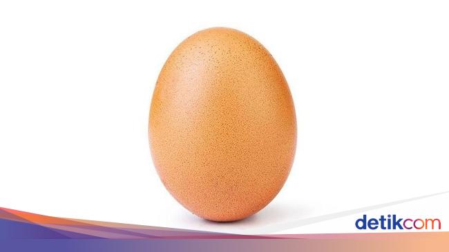 Foto Telur Ini Pecahkan Rekor Terbaru Di Instagram Dapatkan 37 5 Juta Likes