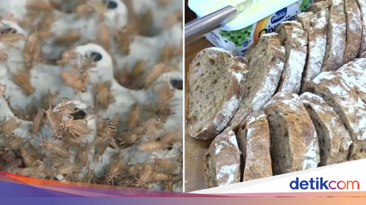 Enak dan Sehat, Toko Kue Ini Buat Roti Berbahan Tepung Jangkrik