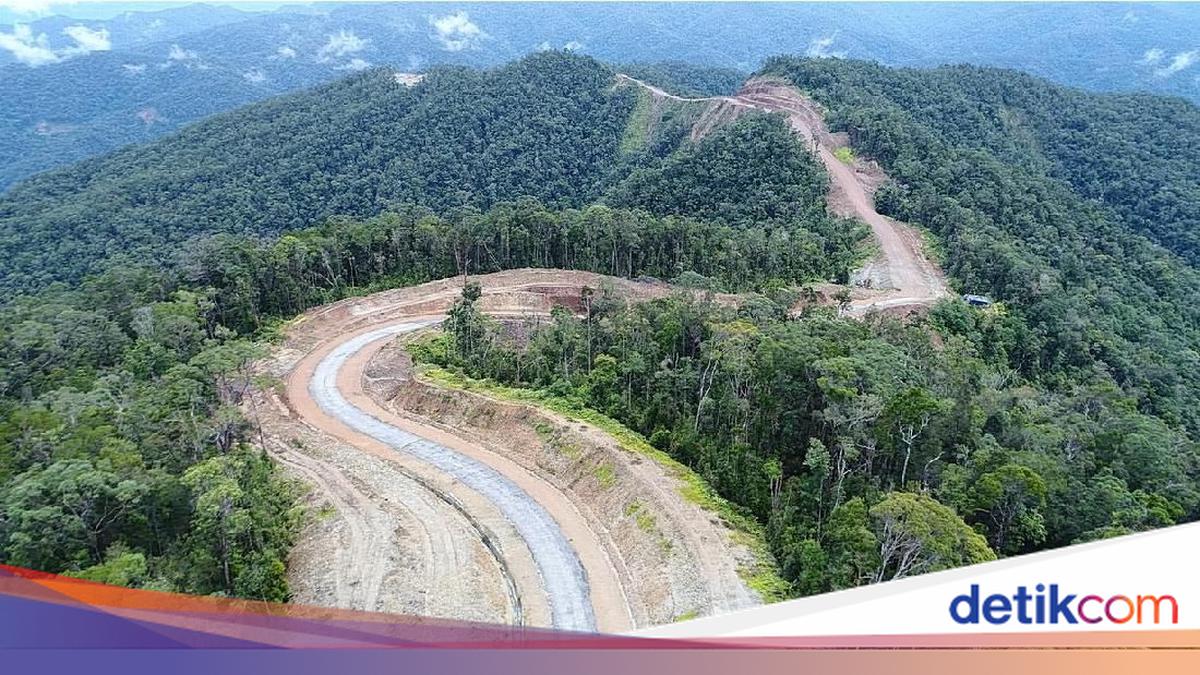 Hutan Rimba Track Tembus Bukit-Hutan Rimba, Ini Kabar Terbaru Proyek Trans Papua