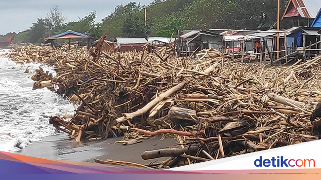 Pascabanjir Sampah Kayu  Menumpuk di  Pantai Makassar  