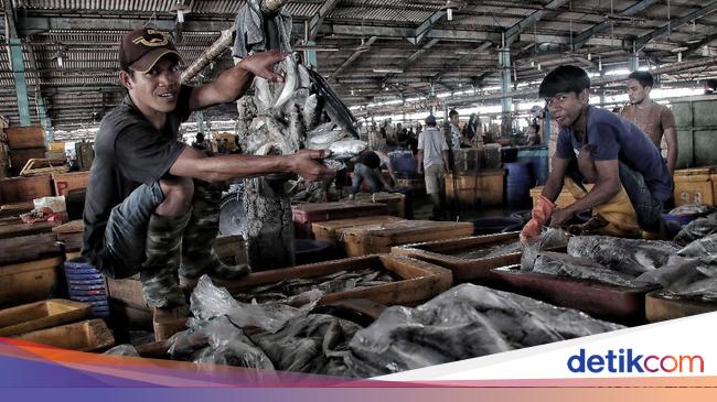 Melihat Aktivitas Pedagang Ikan Tradisional Jelang Relokasi