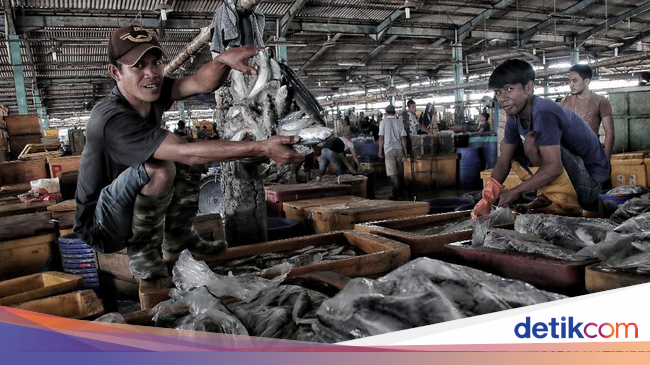 Melihat Aktivitas Pedagang Ikan Tradisional Jelang Relokasi - Detikcom