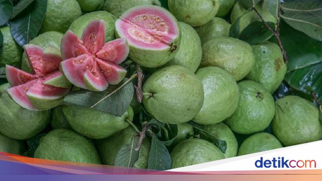 15 Manfaat Buah Jambu Biji Yang Dapat Meningkatkan Imun 15 Manfaat Buah Jambu Biji Yang Dapat Meningkatkan Imun