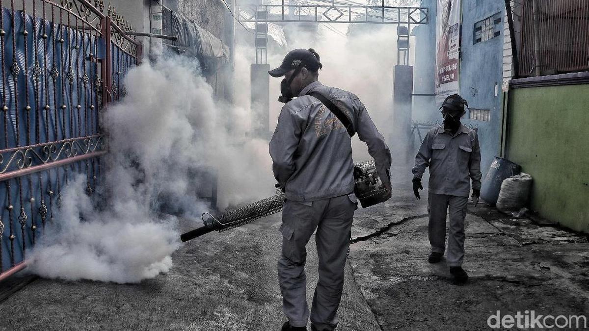 Kasus Mulai Meningkat Kemenkes Ri Waspadai Dbd Di Musim Hujan