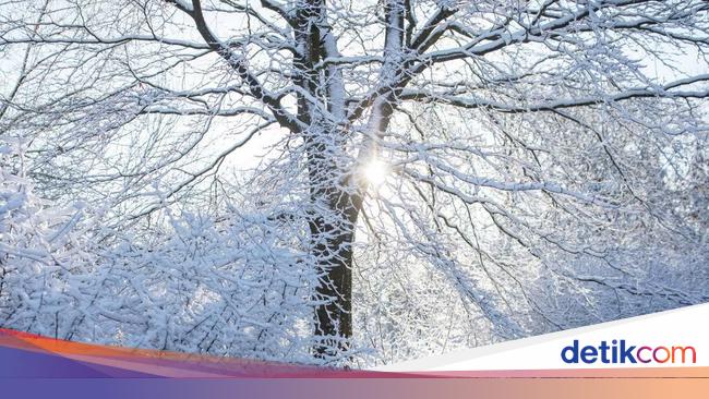 Unduh 2000 Wallpaper Cantik Salju HD Gratis Unduh 2000 Wallpaper Cantik Salju HD Gratis