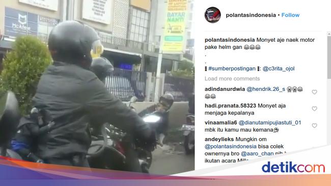 Featured image of post Monyet Pake Jaket Bingung jaket yang cocok untuk gaya berpakaian lo