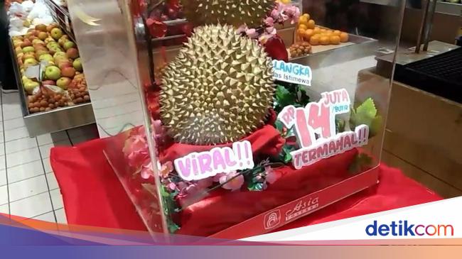 Unduh 8200 Gambar Durian 14 Juta Paling Baru HD