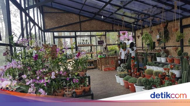 10 Tempat Wisata Menarik di Bandung