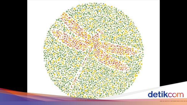 Buktikan Ketajaman Saraf Mata Temukan 10 Hewan  Buktikan Ketajaman Saraf Mata Temukan 10 Hewan