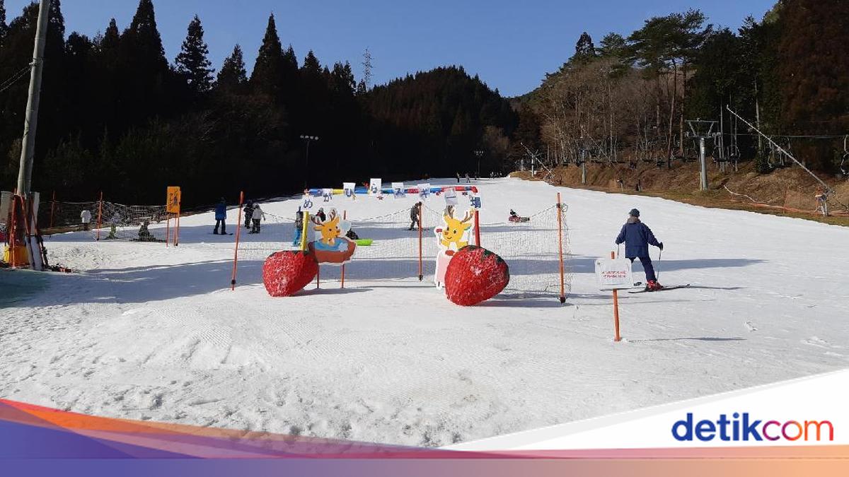Jepang Terancam Kehilangan Ratusan Resor Ski Akibat Pemanasan Global