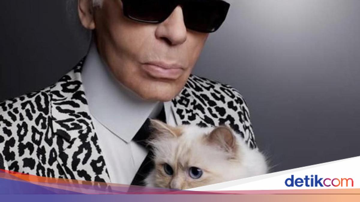 Choupette, Kucing Karl Lagerfeld Pewaris Rp 26 M Kini Hidup Susah