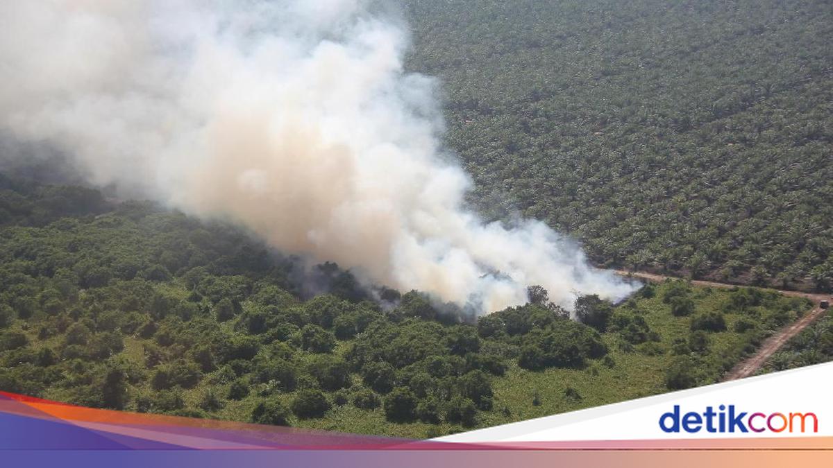 Duh! Alat Pendeteksi Potensi Kebakaran Hutan di Sumsel Dicuri