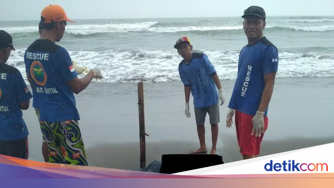 2 Mayat Misterius Ditemukan Di Pantai Cemara Sewu Bantul