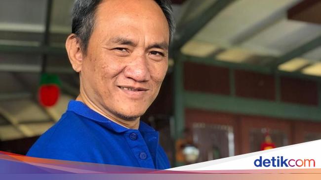 Effendi Simbolon Blames Jokowi for the Pandemic Trap, PD Welcomes