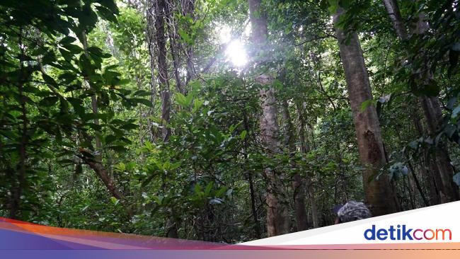 Hari Bumi Bukan Sekadar Ucapan Selamat