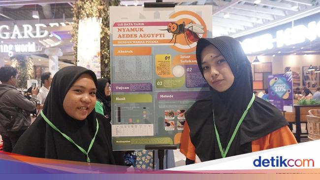 Terungkap Siswa Sma Temukan Warna Yang Paling Disukai Nyamuk Dbd