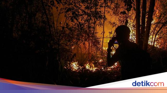 Api Membara di Hutan Pekanbaru