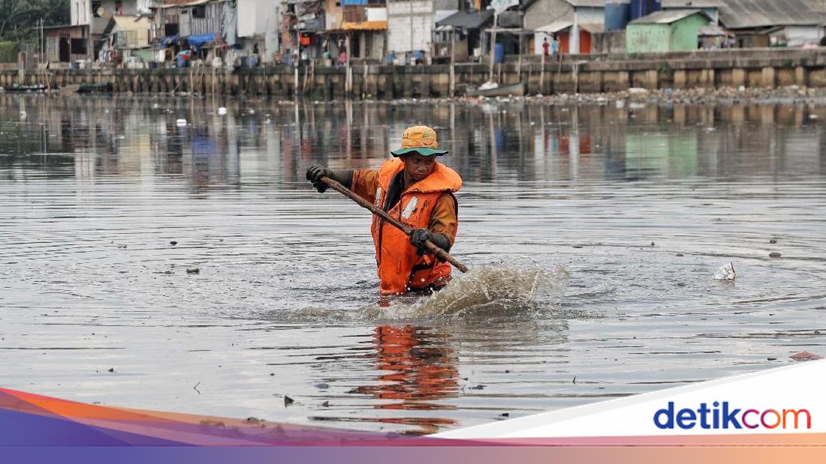 Viral Kali Gendong di Jakut Dipenuhi Sampah, DLH DKI Ungkap Kendala Penanganan