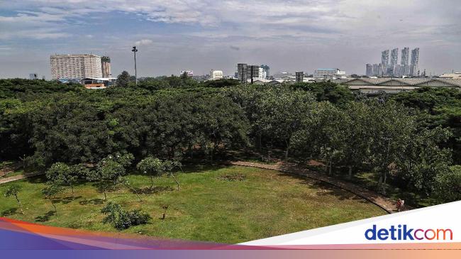 Asrinya Taman Hutan Kota di Utara Jakarta 