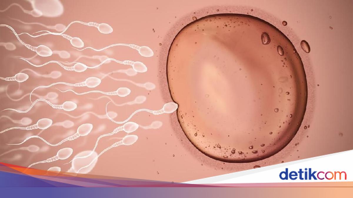 Sperma bilan jinsiy olatni surati Sperma bilan jinsiy olatni surati