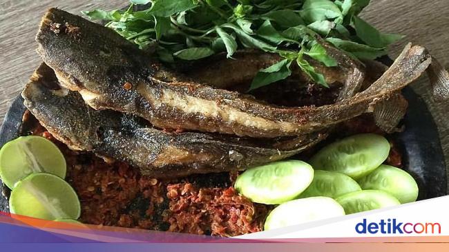 5 Tips Masak Lele agar Tidak Amis dan Enak, Cocok Jadi Pecel Lele!