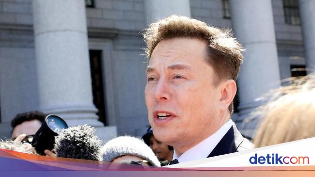 Elon Musk Called the Famous Professor an Idiot, Why?