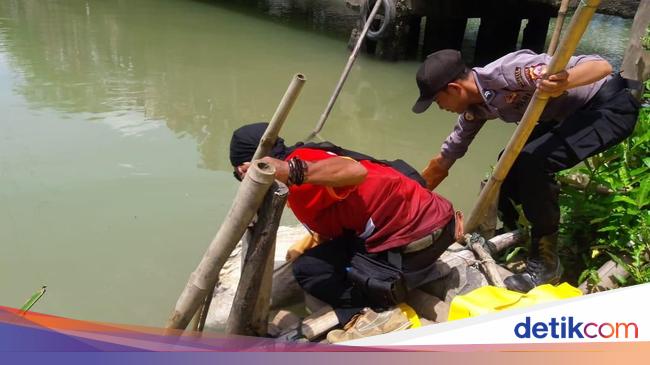 Meilinniliem Orang Terkaya Di Pandeglang Meilinniliem Orang Terkaya Di Pandeglang
