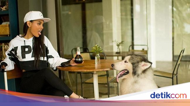 Berpacaran dengan Aldi Eks CJR, Ini Gaya Ngopi Model Erika Carlina