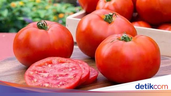 12 Manfaat Tomat Untuk Kesehatan Kamu Harus Tahu