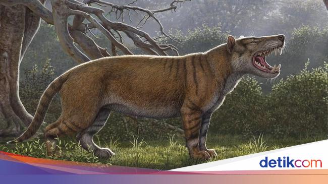 4800 Gambar Hewan Purba Lengkap Gratis