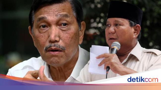 Tugas Besar Luhut Jadi Kepala DEN, Laporannya Langsung ke Prabowo