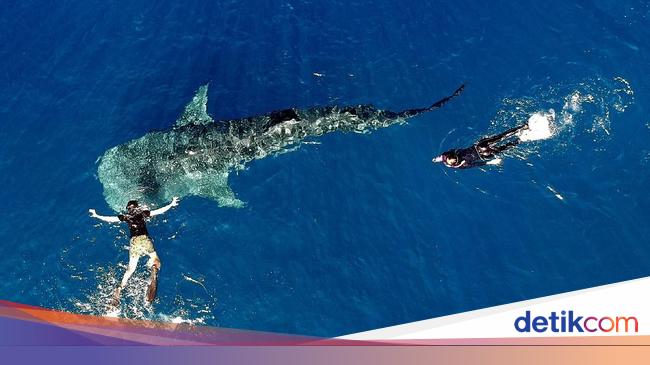 Doa Nabi Yunus Dalam Perut Ikan Paus Untuk Keluar Dari Kesulitan Hidup Doa Nabi Yunus Dalam Perut Ikan Paus Untuk Keluar Dari Kesulitan Hidup