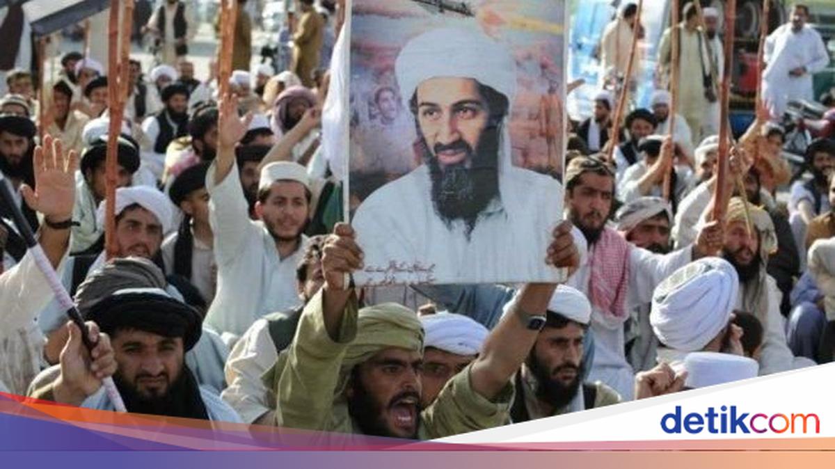 Va Dimaning katta qozi bor