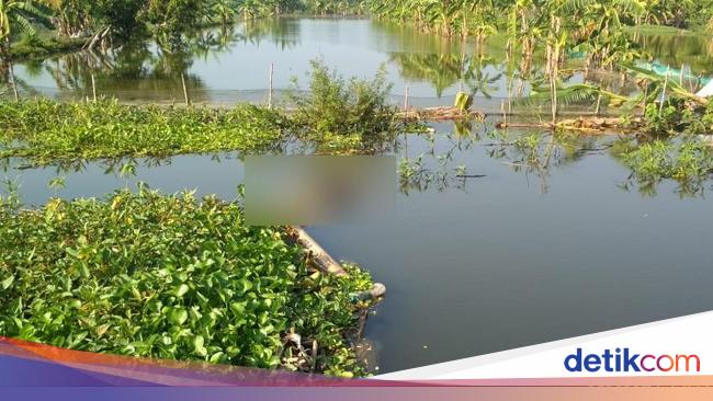 Mayat Pria Bertato Burung Hantu Ditemukan di Lamongan Mayat Pria Bertato Burung Hantu Ditemukan di Lamongan