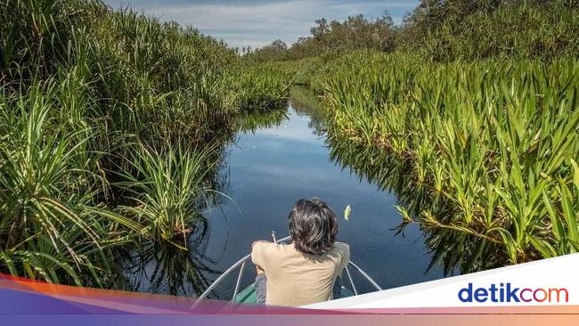 Taman Nasional Tanjung Puting Siap Jadi Destinasi Ekowisata Dunia
