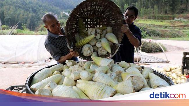 RI Mau Tiru Jurus China Hapus Kemiskinan